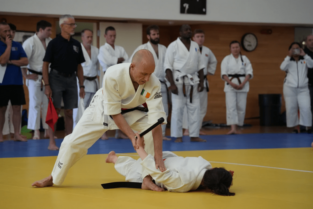 Senior Kata competitors at the 2022 1st WSAF European Championships